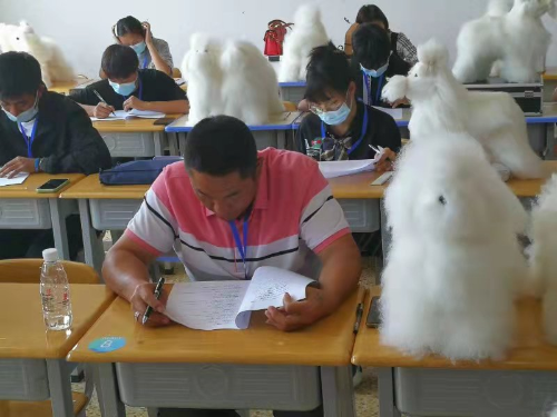 图片4